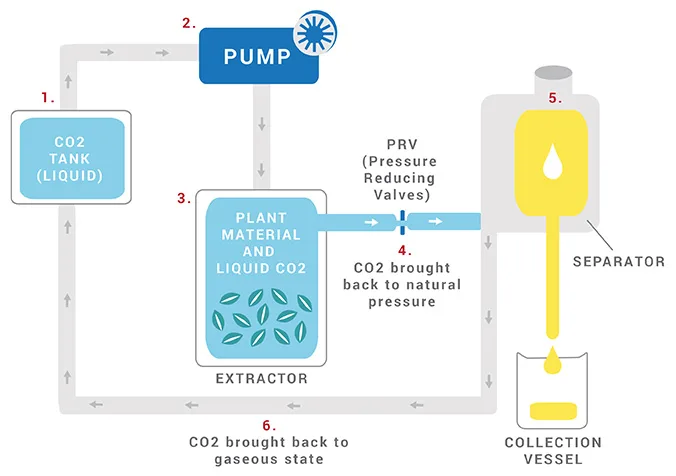 CO2 Extraction for Essential Oil Extraction CO2 Extraction for Essential Oil Extraction