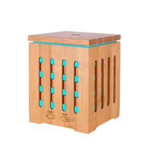 Mini Portable Aroma Diffusers