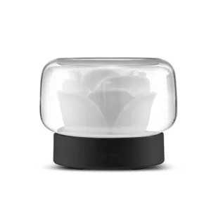 Creative Design Aroma Diffusers